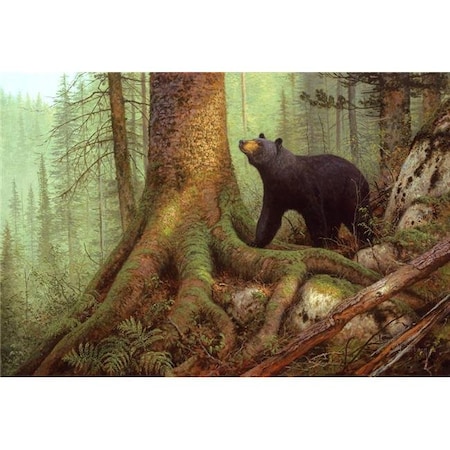 Custom Printed Rugs Custom Printed Rugs DM 61 Lambson Bear Awakening Bear DM 61